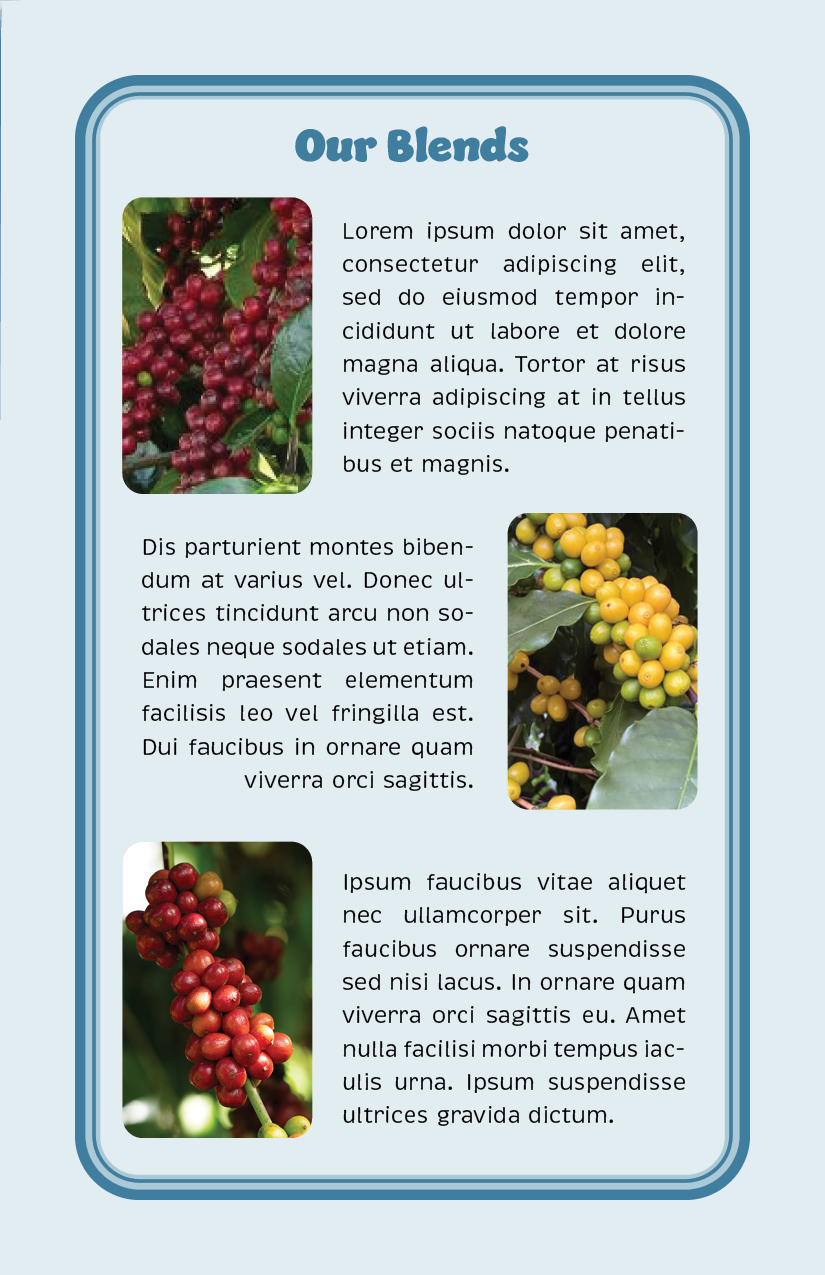Page from the Oasis Coffee promotional booklet
